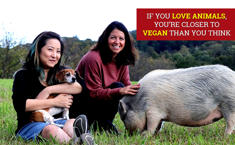 If you love animals, you're closer to vegan than you think