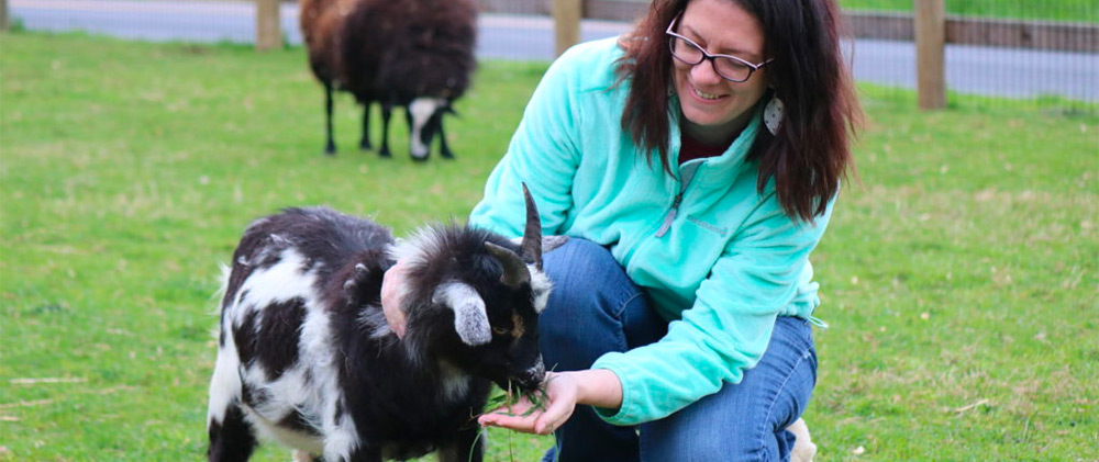 woman feeding goat