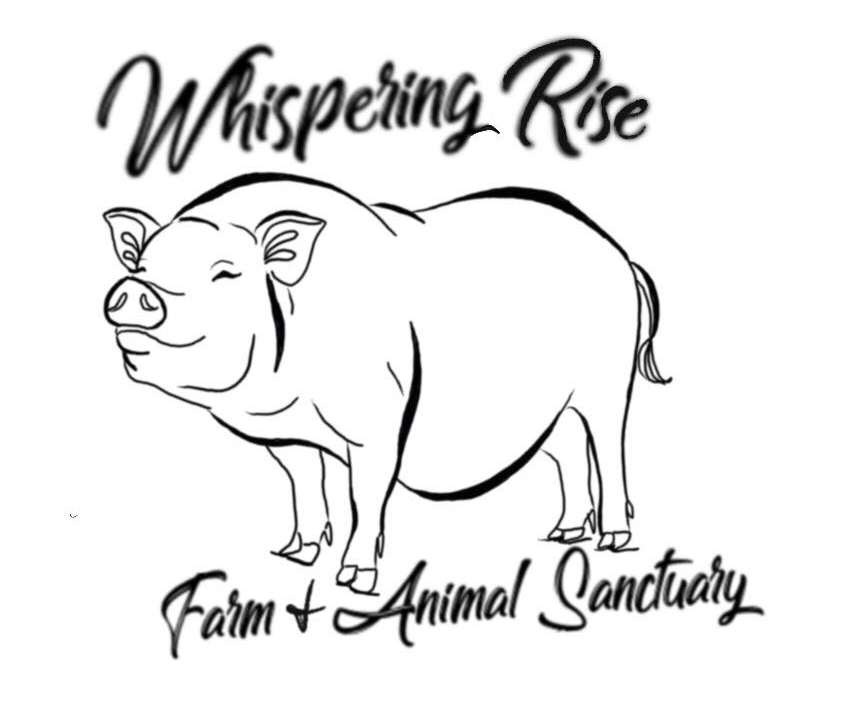 Local Animal Sanctuaries Animal Advocates of South Central PA