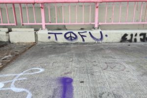 Tofu Graffiti