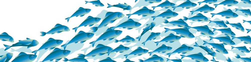 Fish Banner